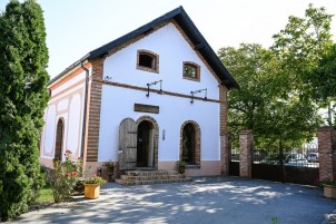 Cosy and beautiful guesthouse for sale Timisoara area, Timis county