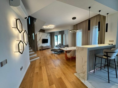 Penthouse/duplex type for rent 4 rooms Herastrau - Ficusului area, Bucharest