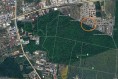 Land plot with building permit Baneasa area - Greenfield, Bucharest